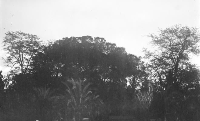 Bassa