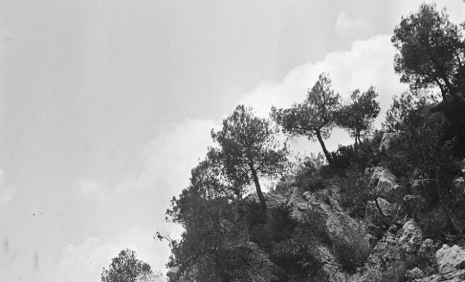Paisatge de muntanya