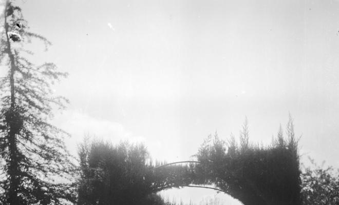 Jardí