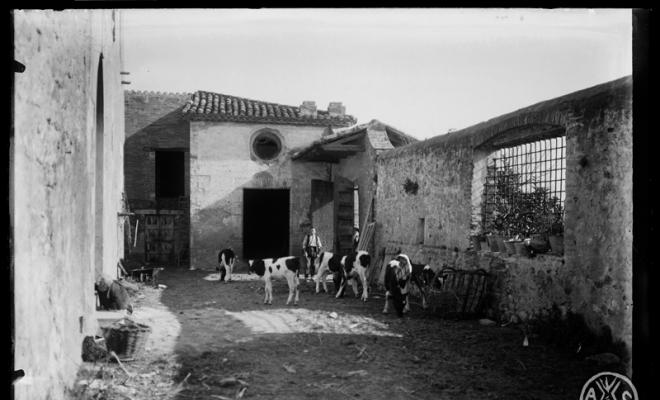 Castell de Barberà. Barberà del Vallès