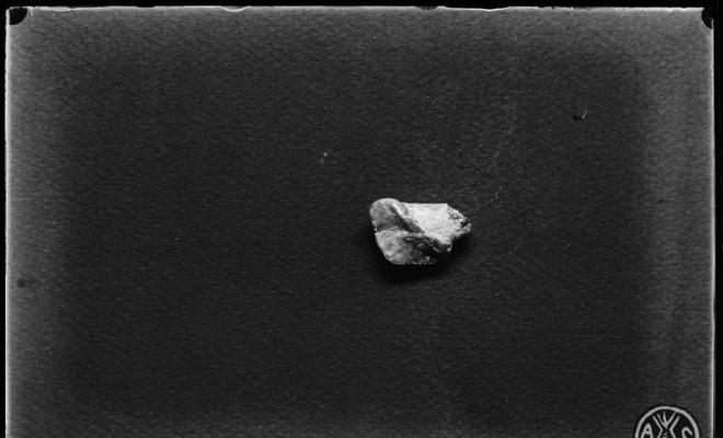 Restes fòssils de molars de Mastodon longirrostris Kaup trobats al subsol de Sabadell.  Museu de Paleontologia