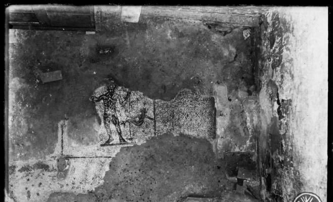 Mosaic de tessel·les blanques i negres amb la figura d'un Neptú procedent de la vil·la romana de la Salut. Sabadell