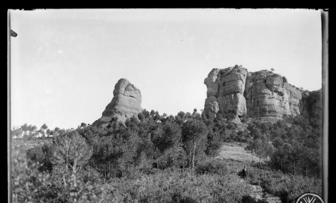 Cavall Bernat i Roca de l'Esquirol. Parc Natural de Sant Llorenç del Munt
