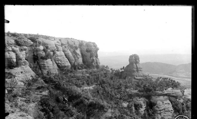 Cavall Bernat. Parc Natural de Sant Llorenç del Munt