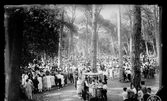 Ball de sardanes al bosc de Can Feu durant l'Aplec de la Sardana. Sabadell