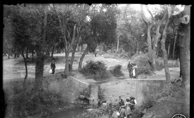 Parc de la Font al Bosc de Can Feu. Sabadell