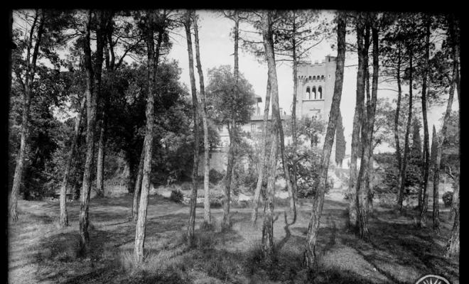 La torre del Castell de Can Feu vista entre els pins. Sabadell