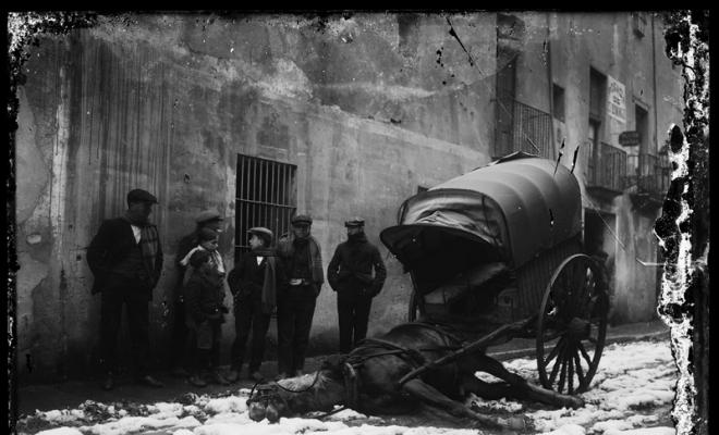 Cavall mort per haver trepìtjat un fil elèctric després d'una nevada. Sabadell