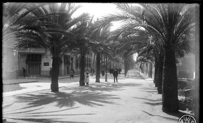 Palmeres de la plaça del Doctor Robert. Al fons a l'esquerra la façana del teatre Euterpe. Sabadell