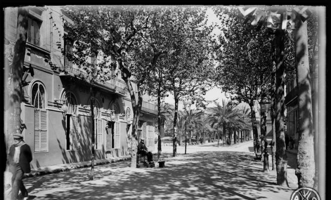 Principi de la Rambla de Sabadell amb les palmeres de la plaça del Doctor Robert al fons. Sabadell