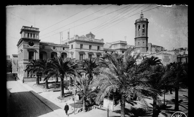 Palmeres dels jardinets de la Plaça del Doctor Robert amb l'Ajuntament i el campanar de Sant Feliu al fons. Sabadell