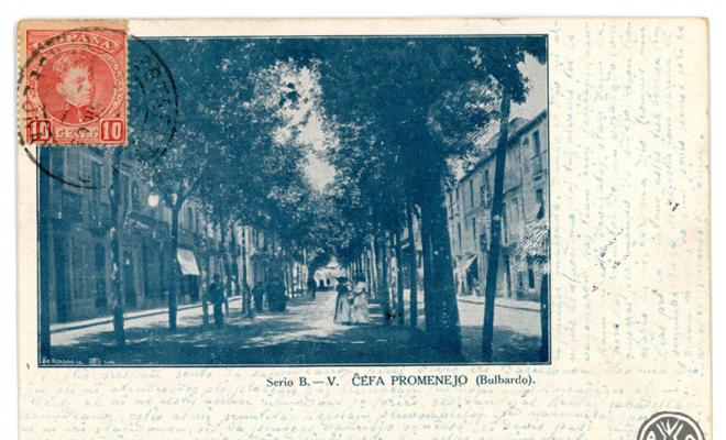 Serio B.- V. Cefa promenejo (Bulbardo)