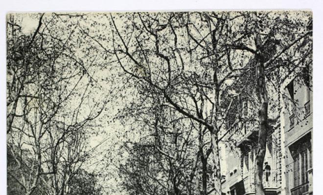 [Sabadell. Rambla]