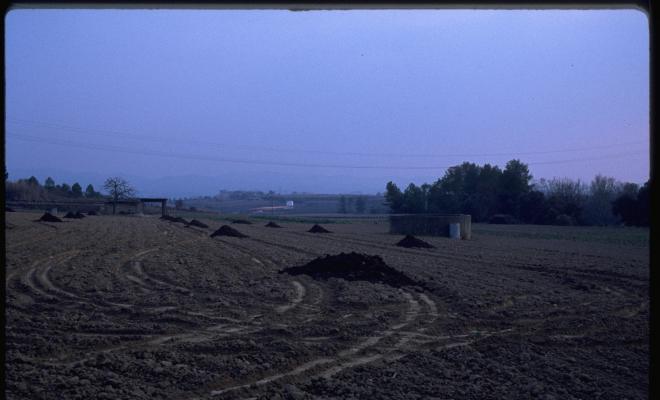 Camps de conreu. 