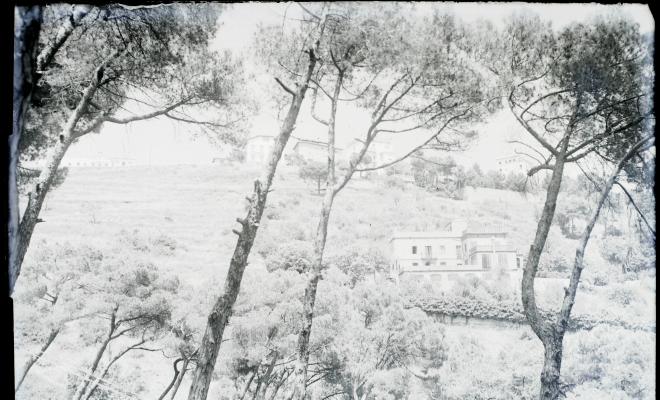 Vistes de les cases entre el bosc a Vallvidrera.