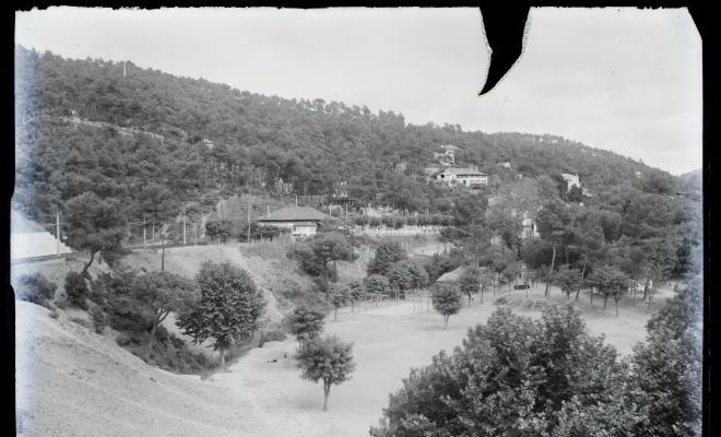 Vistes del berenador de les Planes. 