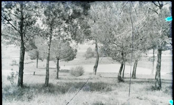 Vistes del camp de golf.