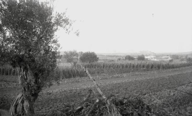 Masia Torreblanca, vistes de l'edifici i dels camps de conreu.