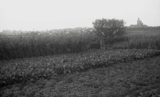 Masia Torreblanca, vistes de l'edifici i dels camps de conreu.