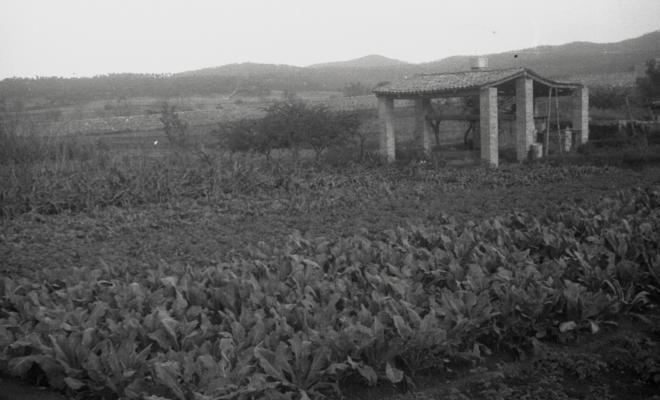 Masia Torreblanca, vistes de l'edifici i dels camps de conreu.