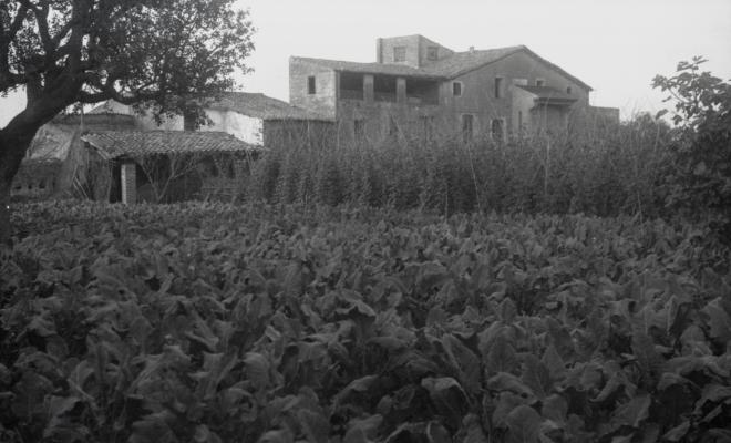 Masia Torreblanca, vistes de l'edifici i dels camps de conreu.