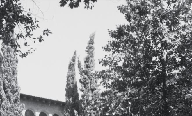 Vistes del Claustre del Monestir de Sant Cugat del Vallès.