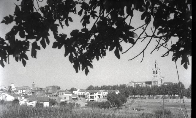 Vista panoràmica d'uns horts a la zona de Can Mora amb el monestir al fons.