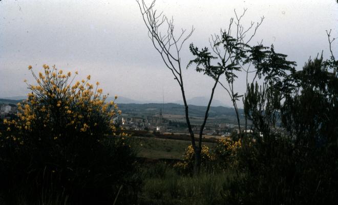 Vista del nucli de Sant Cugat del Vallès.
