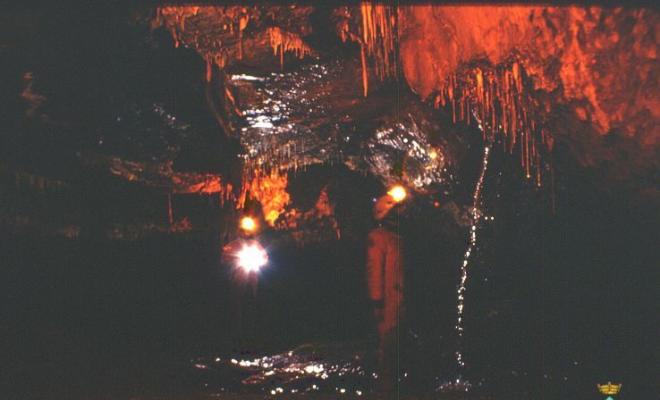 40 Cova del Serrat del Vent