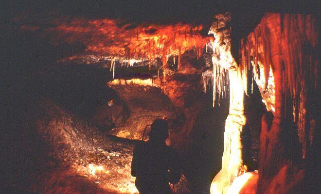 43 Cova del Serrat del Vent