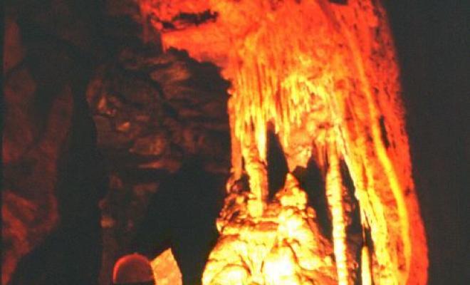 44 Cova del Serrat del Vent