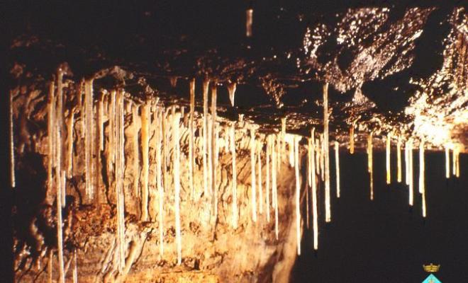 48 Cova del Serrat del Vent