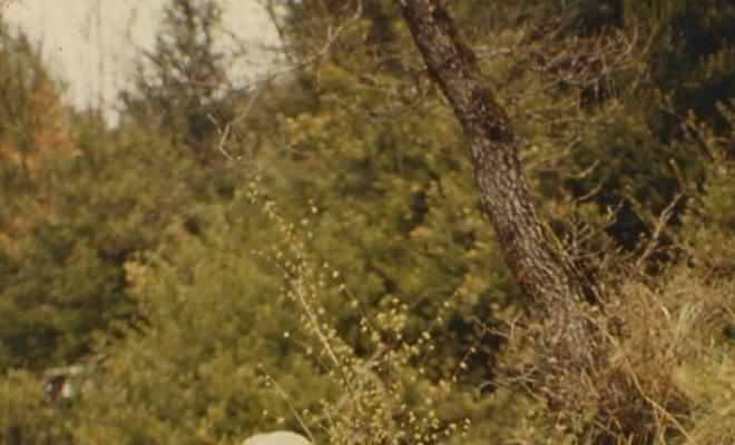 91 Cova del Serrat del Vent