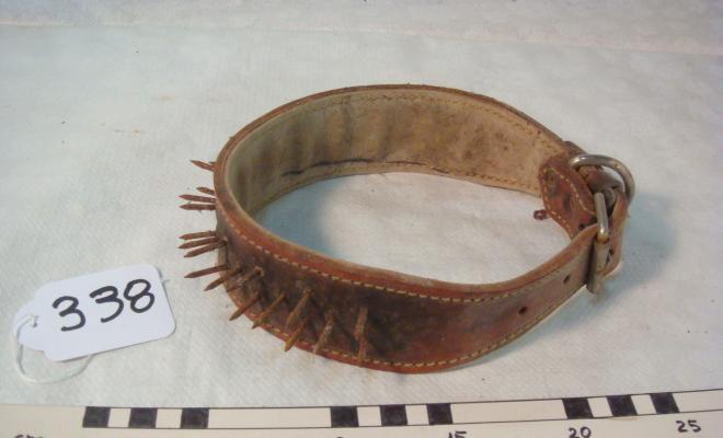 0338-Collar contra el llop