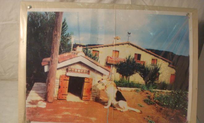 0477-Casa d'en Borràs (foto)