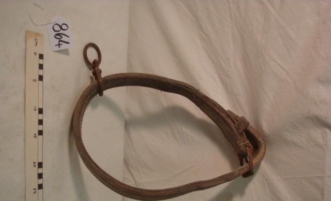 0864-Collar de burro