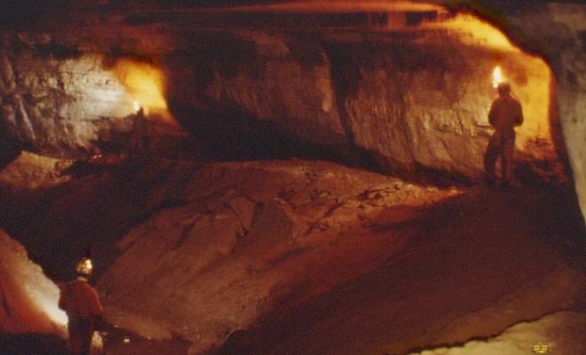 23 Cova del Serrat del Vent - Sala (I)
