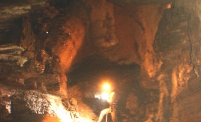 28 Cova del Serrat del Vent - Sala (IV)