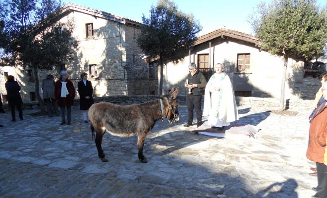 El rector i un ruc