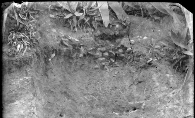 Excavacions a Can Peixau