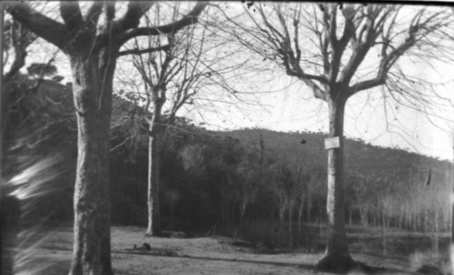 Paisatge rural