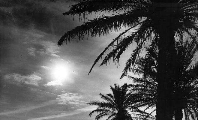 Litoral Badalona