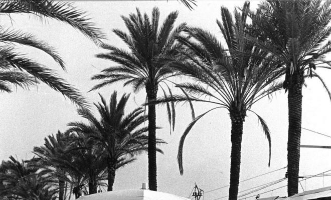 La Rambla