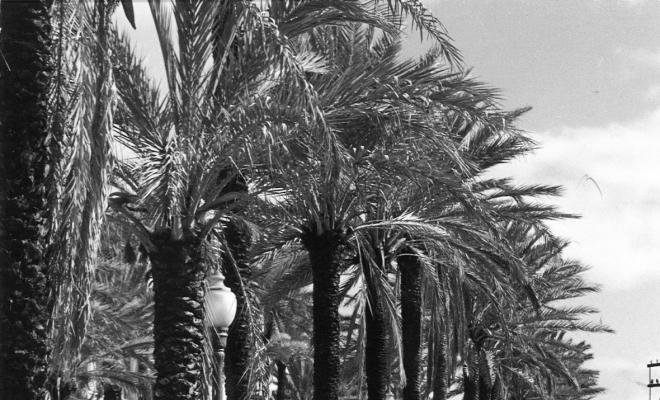La Rambla