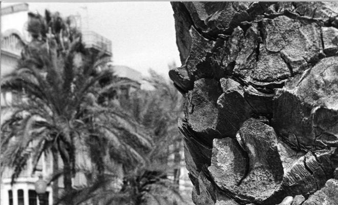 La Rambla