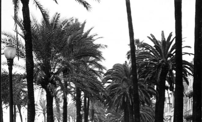 La Rambla