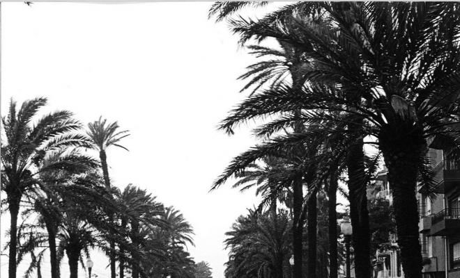 La Rambla