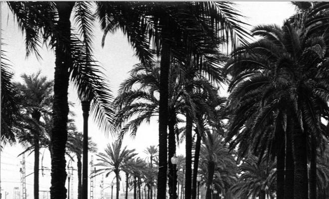 La Rambla