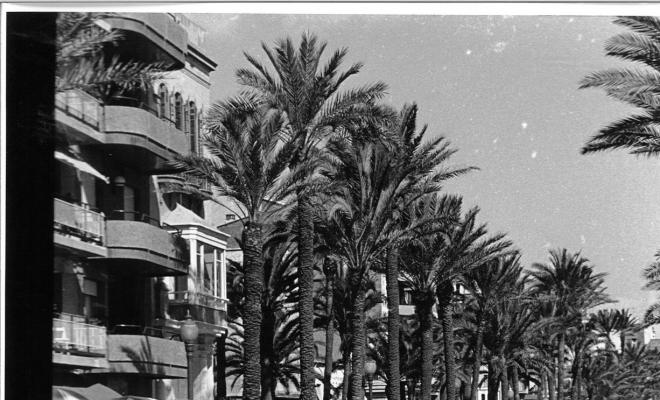 Diumenge a la Rambla