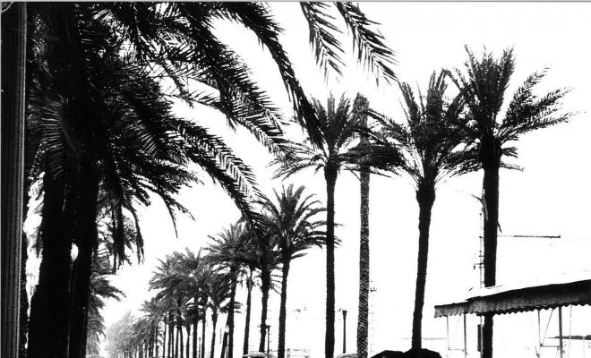 La Rambla